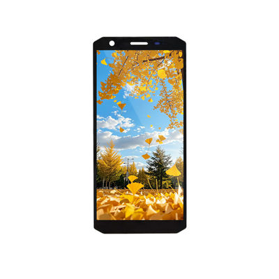 良い価格 5.45インチTFT LCDディスプレイモジュール 720x1440 MIPIインターフェース オンライン