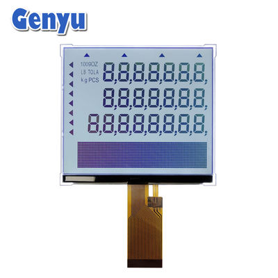 セグメント COG LCD モジュール FSTN 24ピン FPC 5.5 インチ電子スケール用液晶ディスプレイ